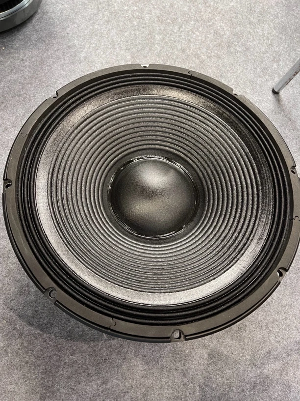 15寸喇叭220磁100芯，实际功率600瓦，最大功率1200瓦，8欧，