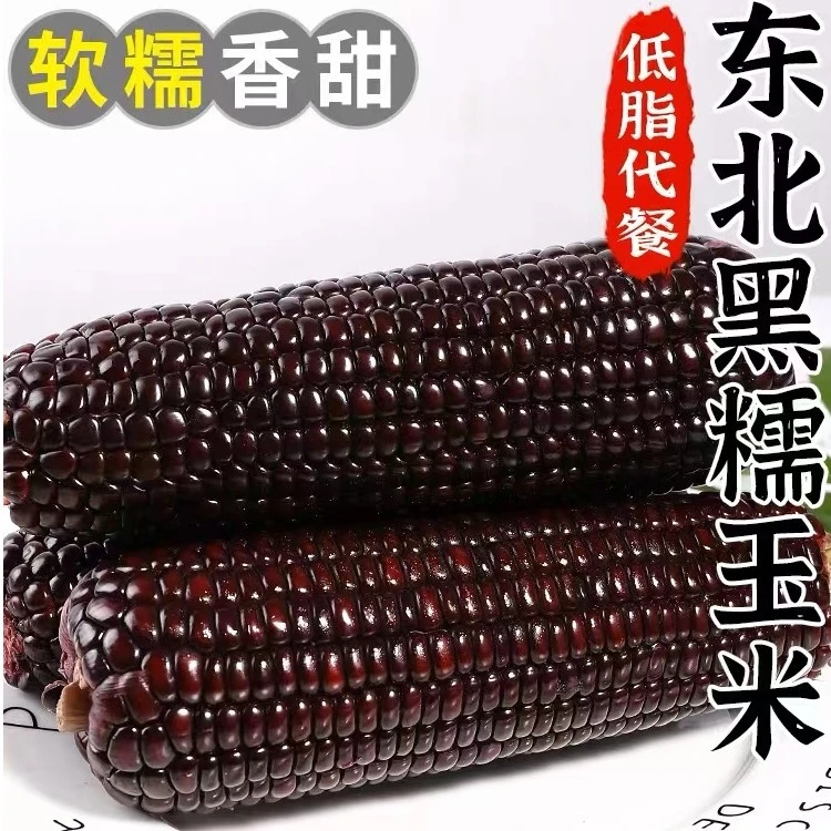 19.9包邮【260g-350g】拍5送3 到手8根装 东北黑珍珠黑糯玉米花青素