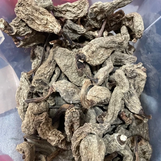 西藏本地新鲜干货无硫下山小乌麻包邮500g