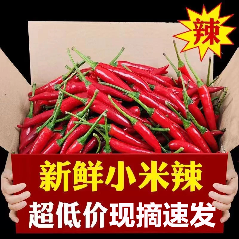 3斤云南小米辣椒新鲜特辣小米椒朝天椒超辣红辣椒指天椒尖椒蔬菜