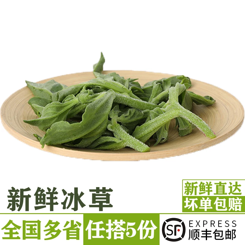 新鲜冰草200g 现摘蔬菜即食生吃非洲冰菜火锅沙拉健身食材代餐