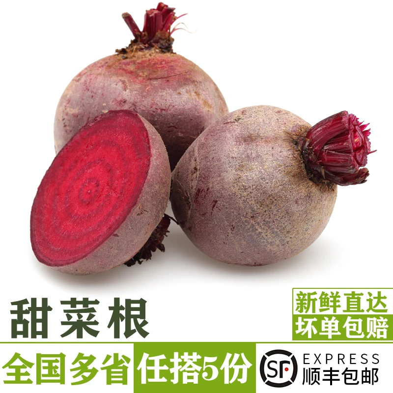 新鲜甜菜根500g 甜菜头甜根菜紫红菜头摆盘榨汁蔬菜农家新鲜蔬菜