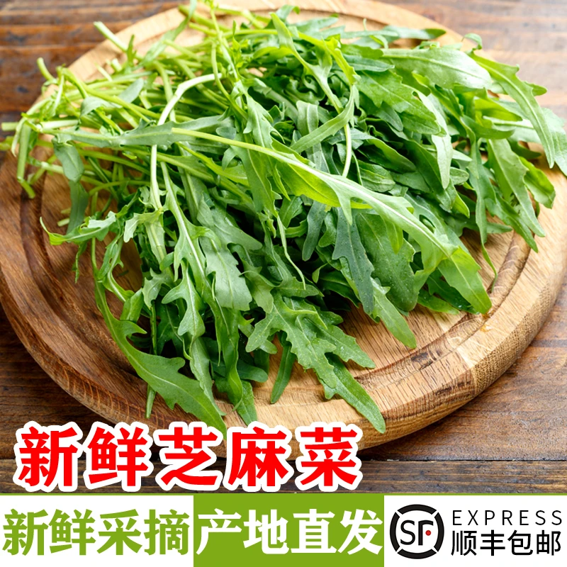 新鲜芝麻菜 火箭菜 蔬菜沙拉食材生菜 西餐健身轻食色拉沙拉蔬菜