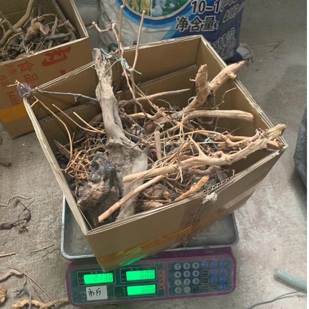 沉木小料二斤混合装沉木边角料