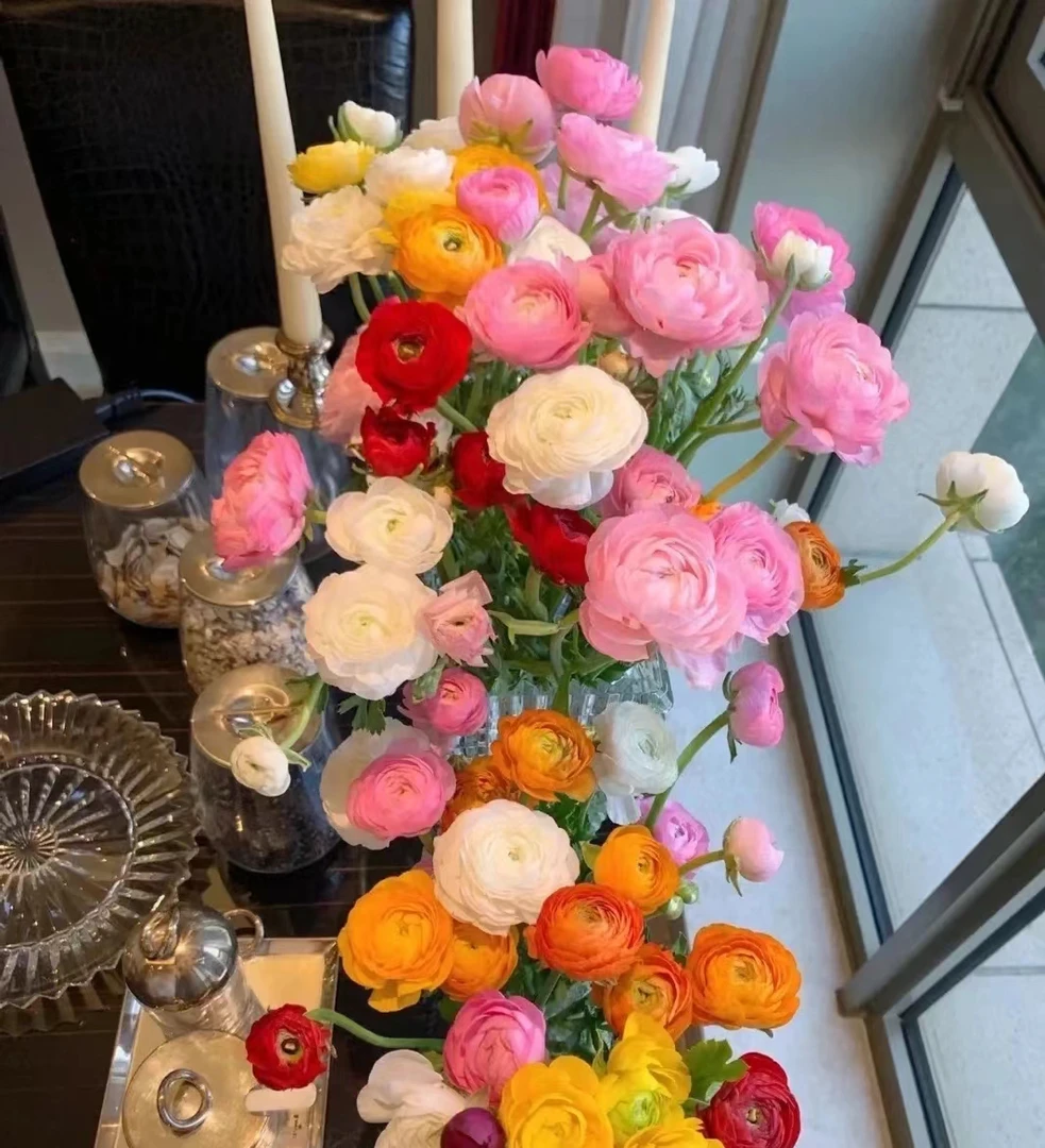 【加购】【一单发圆通】