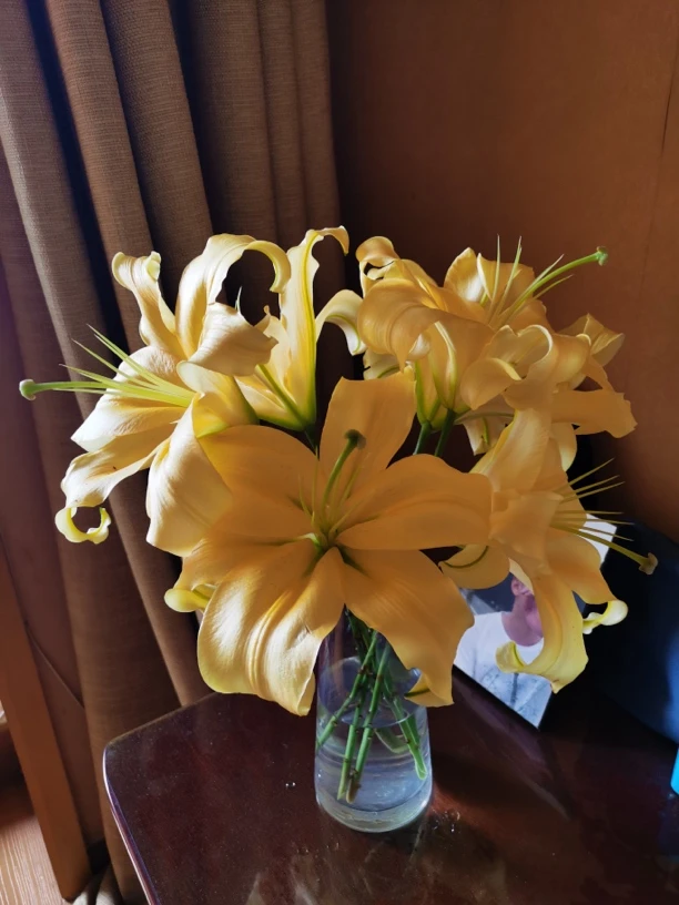 皇帝 金黄色大花苞浓香型百合【一单发普通快递两单顺丰快递】