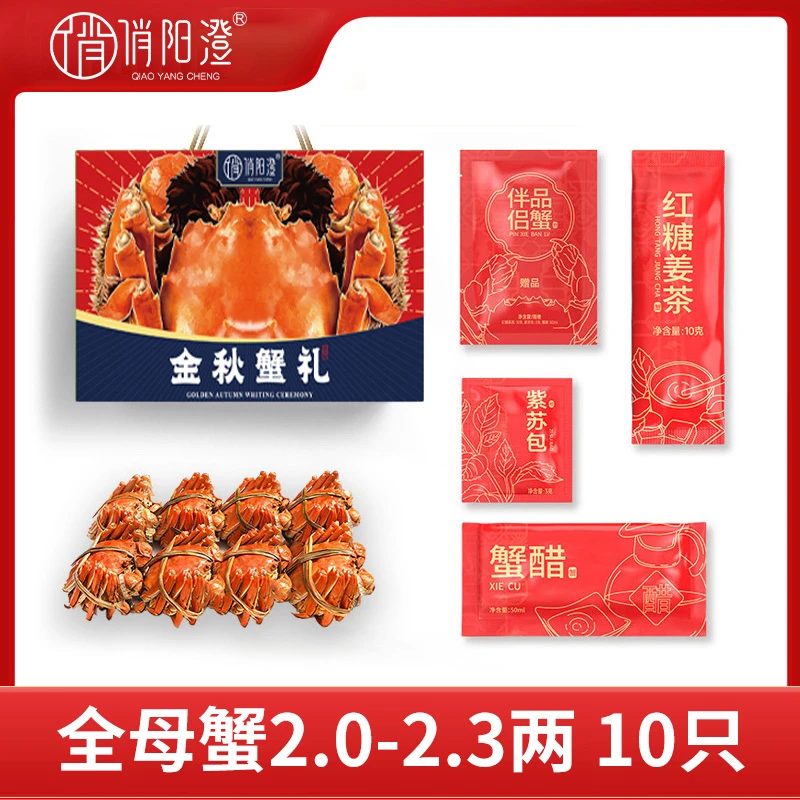 【活蟹】苏蟹大闸蟹全母蟹2.0-2.3两10只礼盒