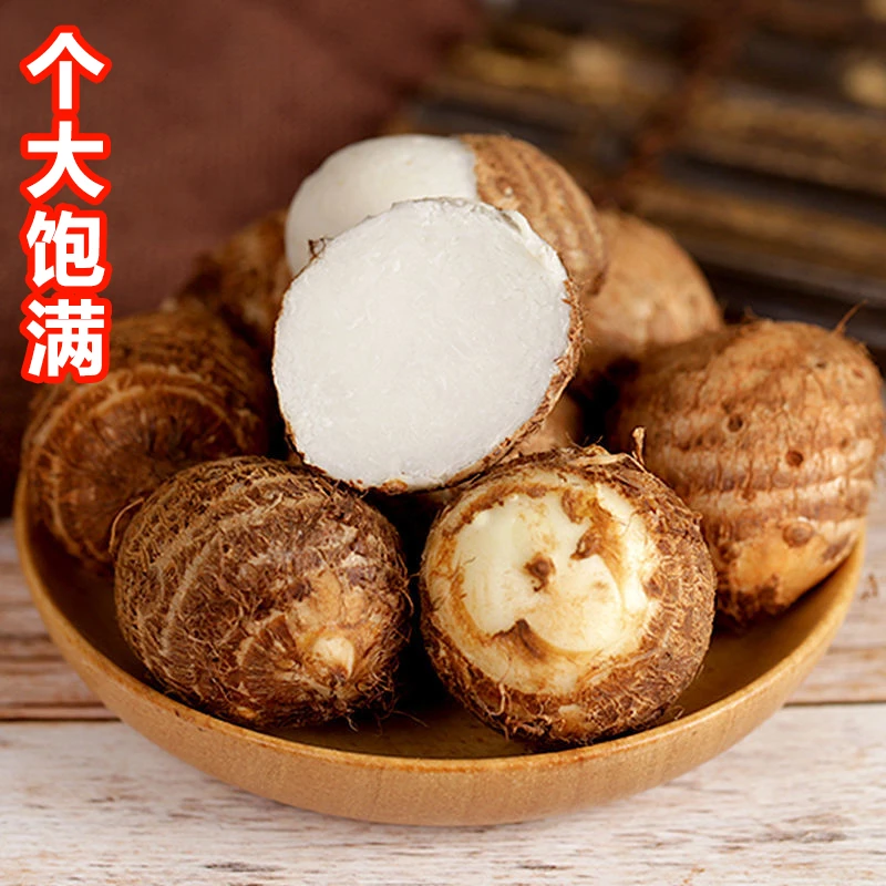 正宗五莲芋头新鲜现挖农家