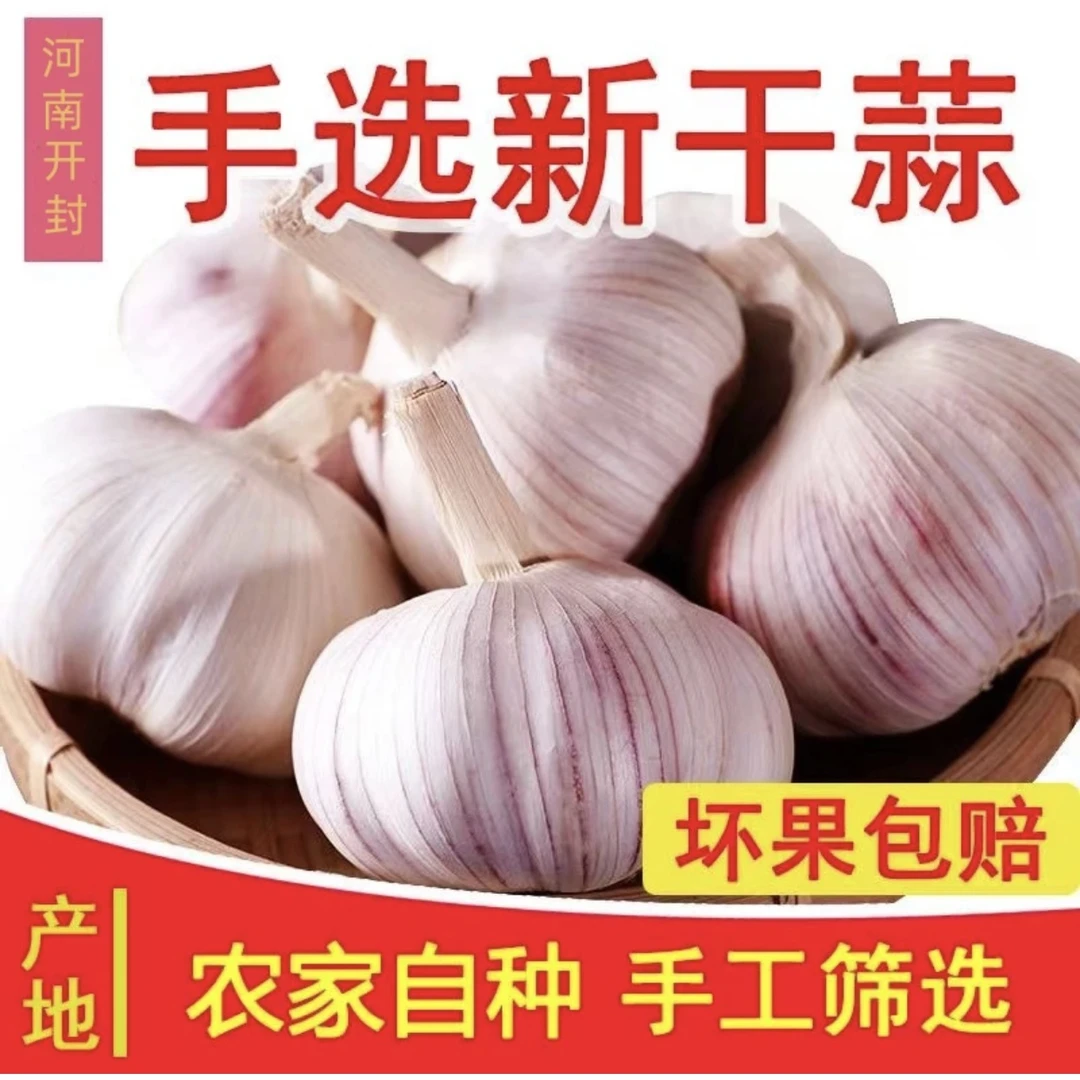 【新店冲量】新干蒜5斤大蒜大蒜头新鲜紫白皮1斤3斤9斤产地直发可种