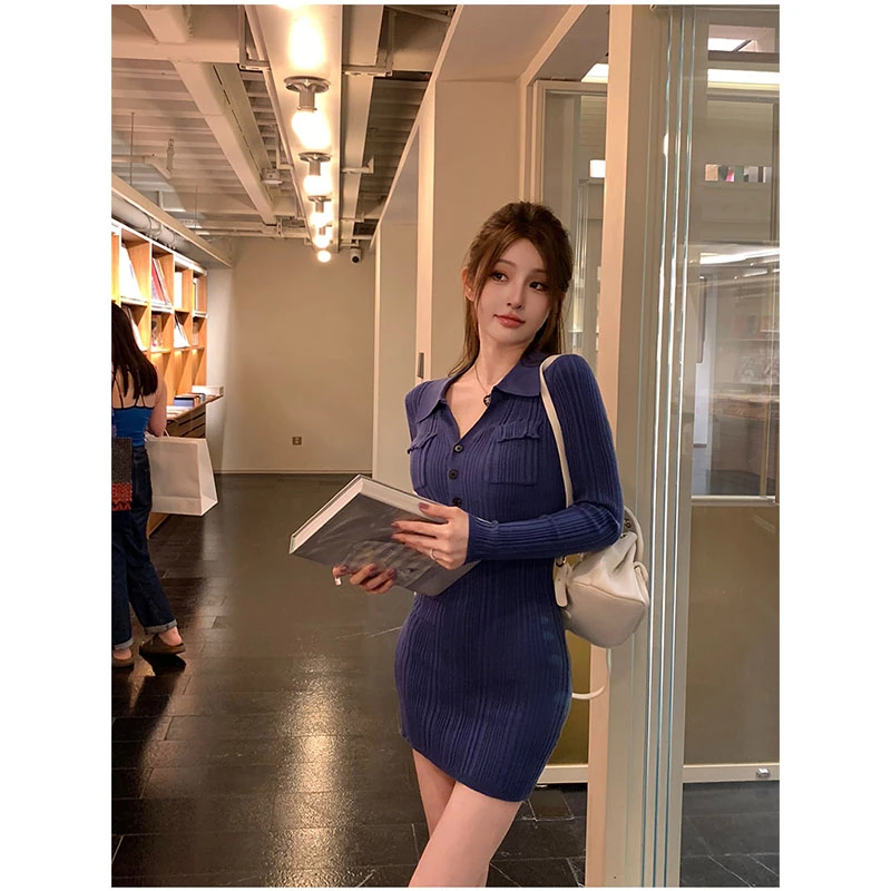 2025早秋新款韩系高级感双口袋POLO领针织连衣裙修身长袖包臀短裙