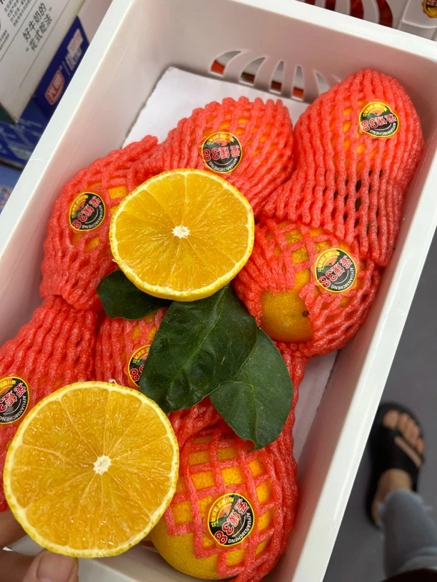 爱媛果冻橙一筐（5斤）