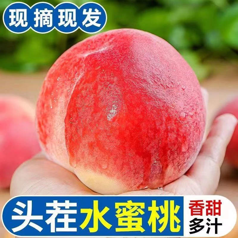 【坏果包赔】现摘现发陕西头茬水蜜桃新鲜4.5斤装包邮