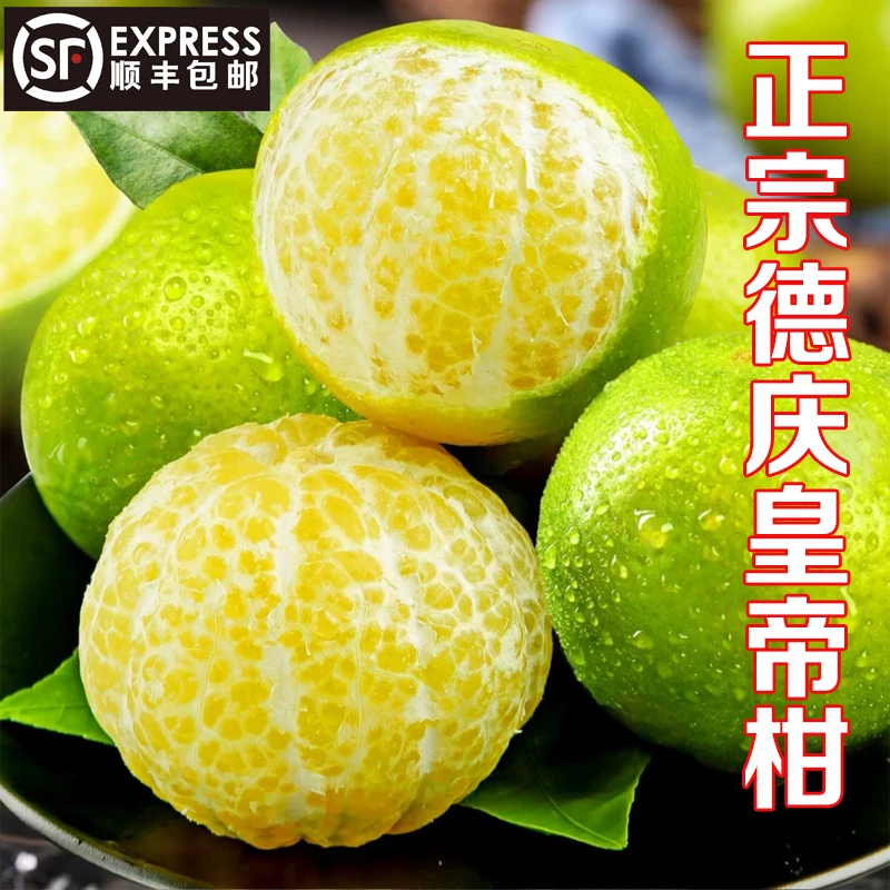 德庆皇帝柑5斤10斤贡柑橘子皮薄新鲜甜爽脆蜜甜正宗优质采摘品质