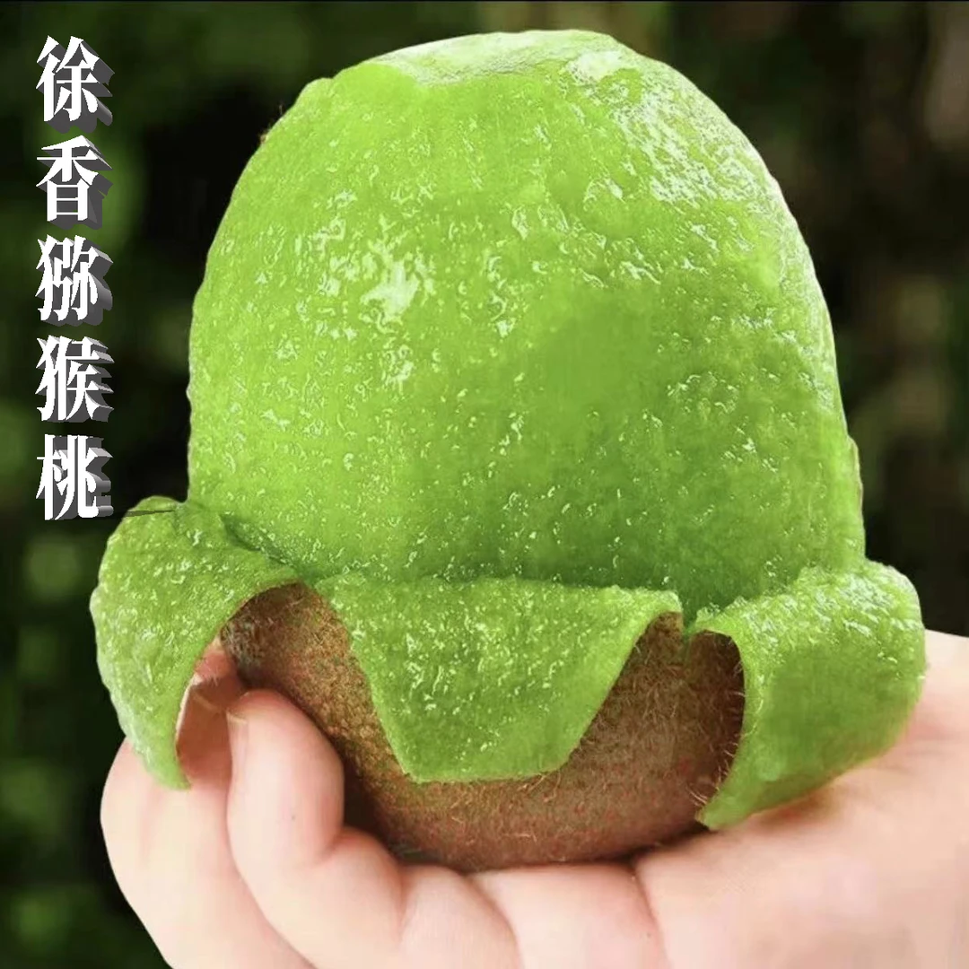 【产地直发】周至徐香猕猴桃香甜多汁果园直发