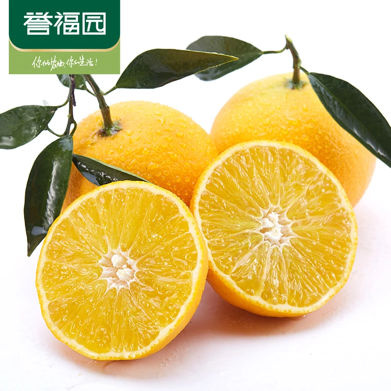【誉福园】四川爱媛38号果冻橙带箱5斤新鲜橙子孕妇水果 坏果包赔