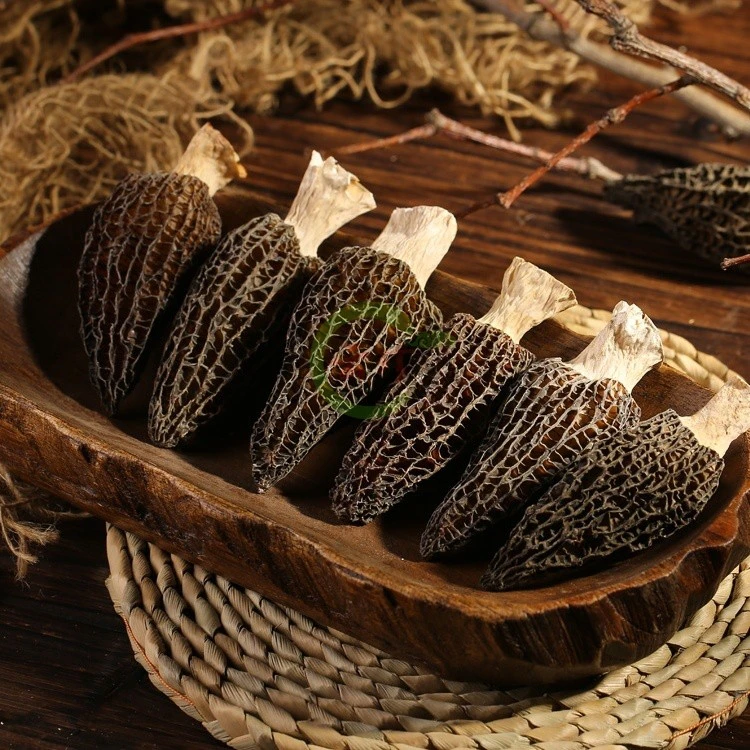 新货头茬羊肚菌干货500g云南特产高原林地野羊肚菌菌菇蘑菇非新鲜