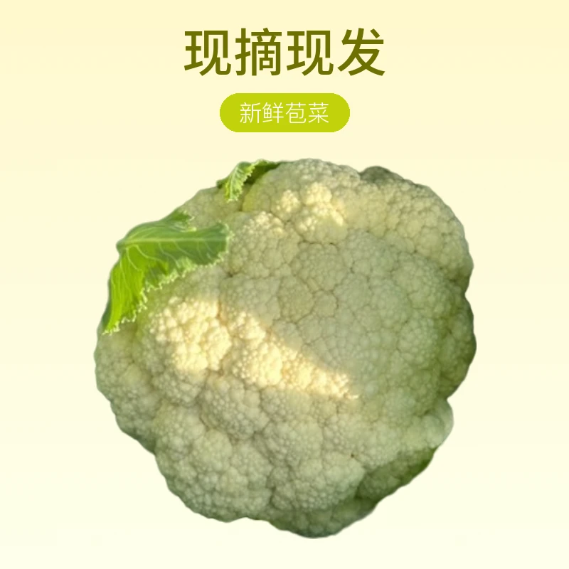 自家农场 花菜（现摘现发）