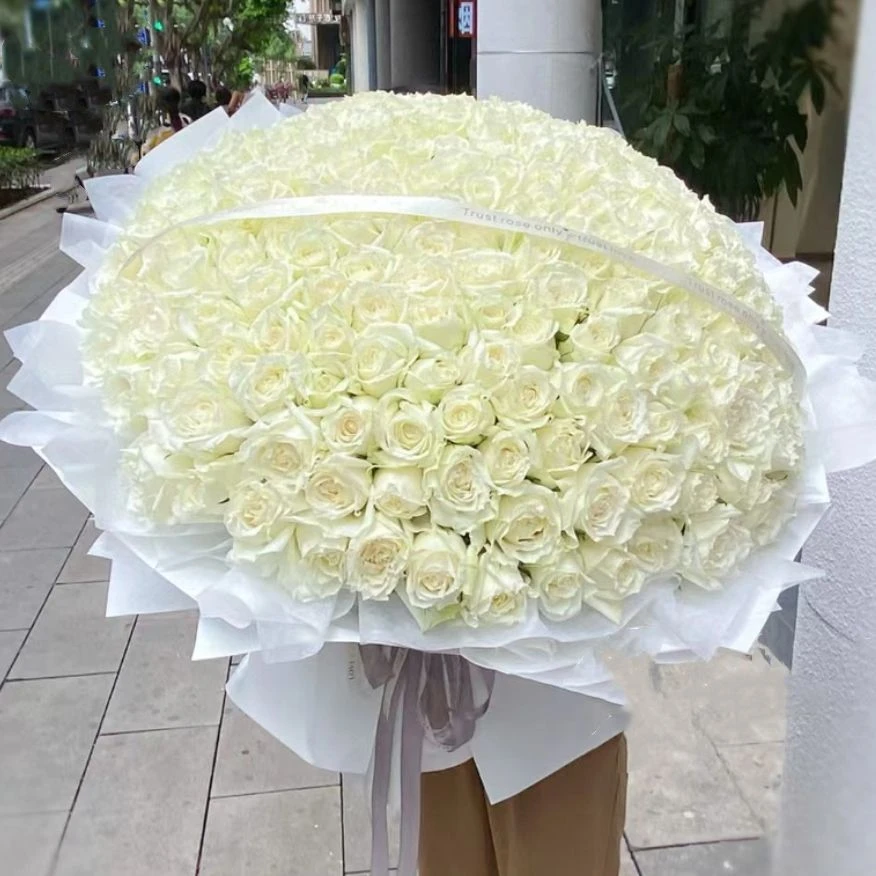 海上焰火【199枝白玫瑰】超大花束送女友未婚妻老婆求婚表白纪念日惊喜浪漫礼物生日玫瑰花束鲜花同城配送上门