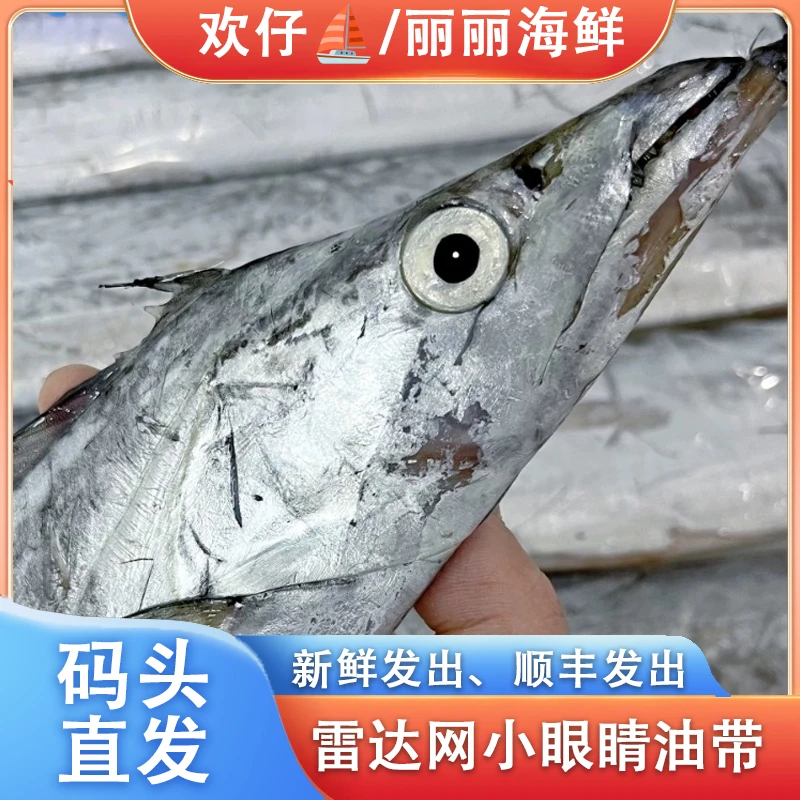 【欢仔专属】东海野生深海 雷达网油带 带鱼 现称现拍