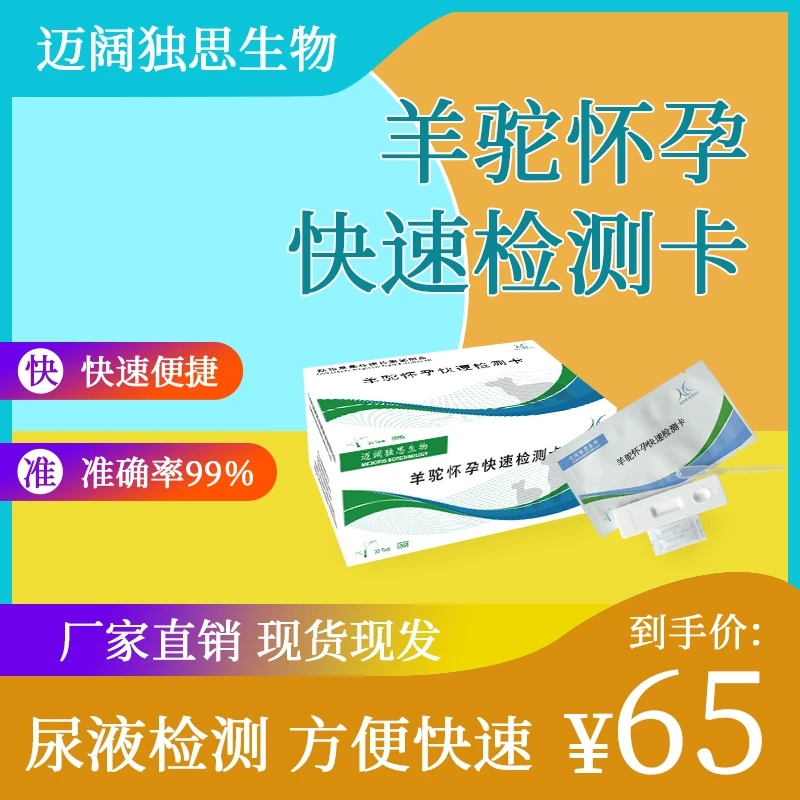 羊驼干燥怀孕快速检测卡