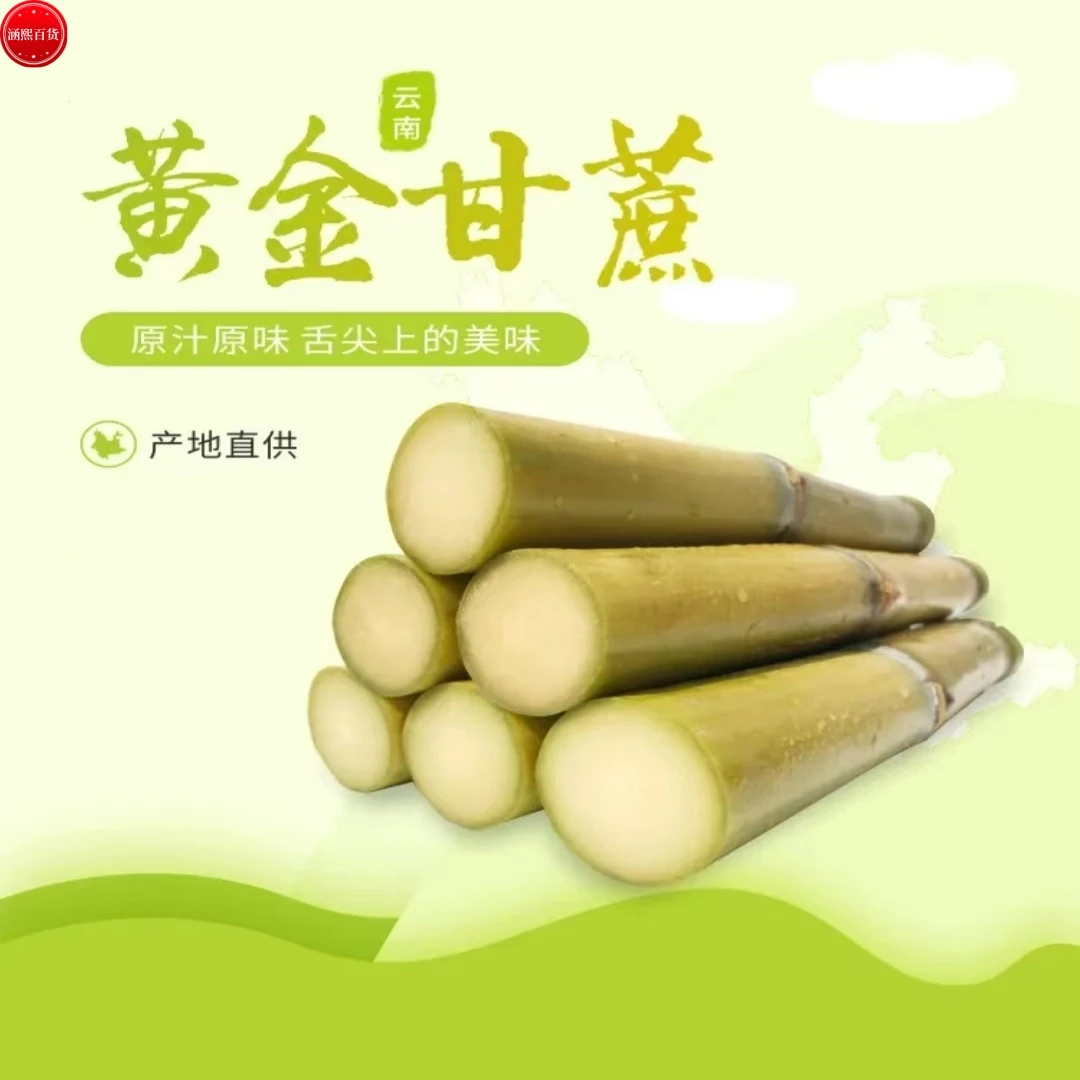 云南黄金甘蔗脆皮青皮清甜爽口多汁现砍现发新鲜产地直发黄皮甘蔗