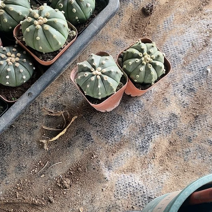 【闪购商品】一物一拍