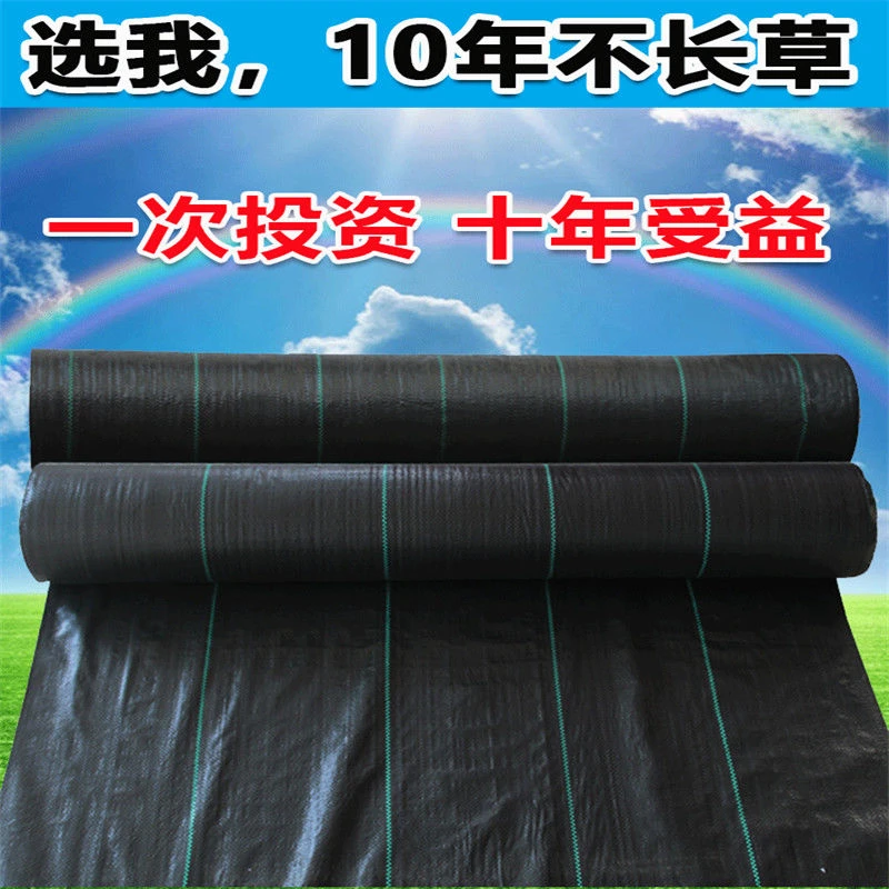 农用防草地布抗老化加厚PE除草布批发园艺果园果树大棚盖地灭草布
