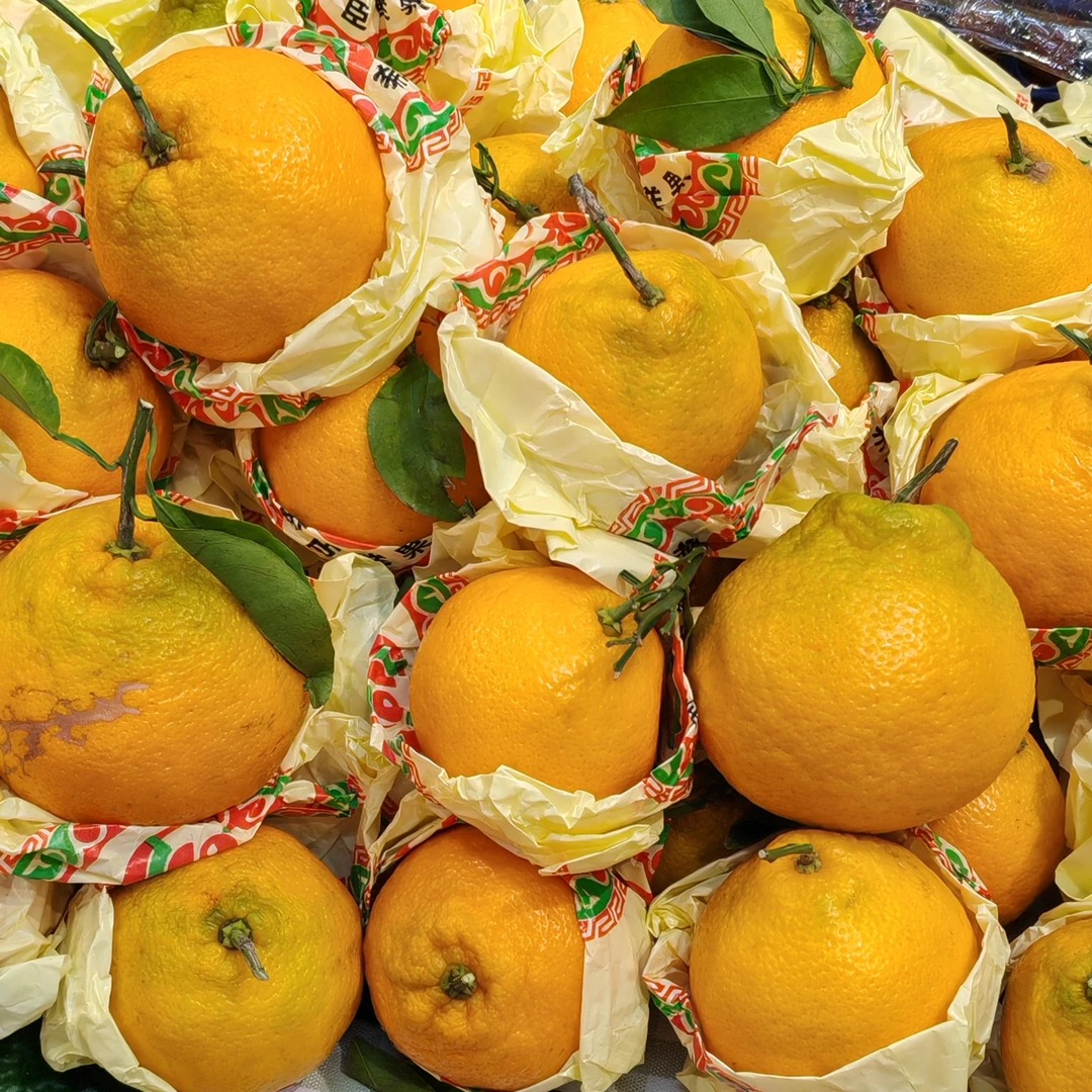 【入口爆汁】春见耙耙柑（3-4个500g左右）