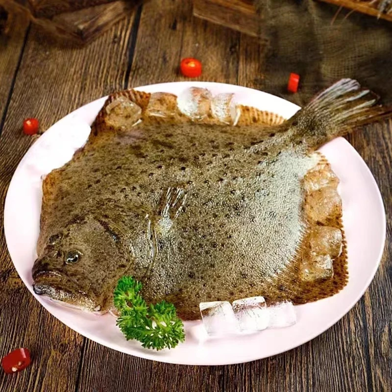 （TZ）广东博贺港深海鲜活速冻比目鱼/多宝鱼 200-300g/条   10条