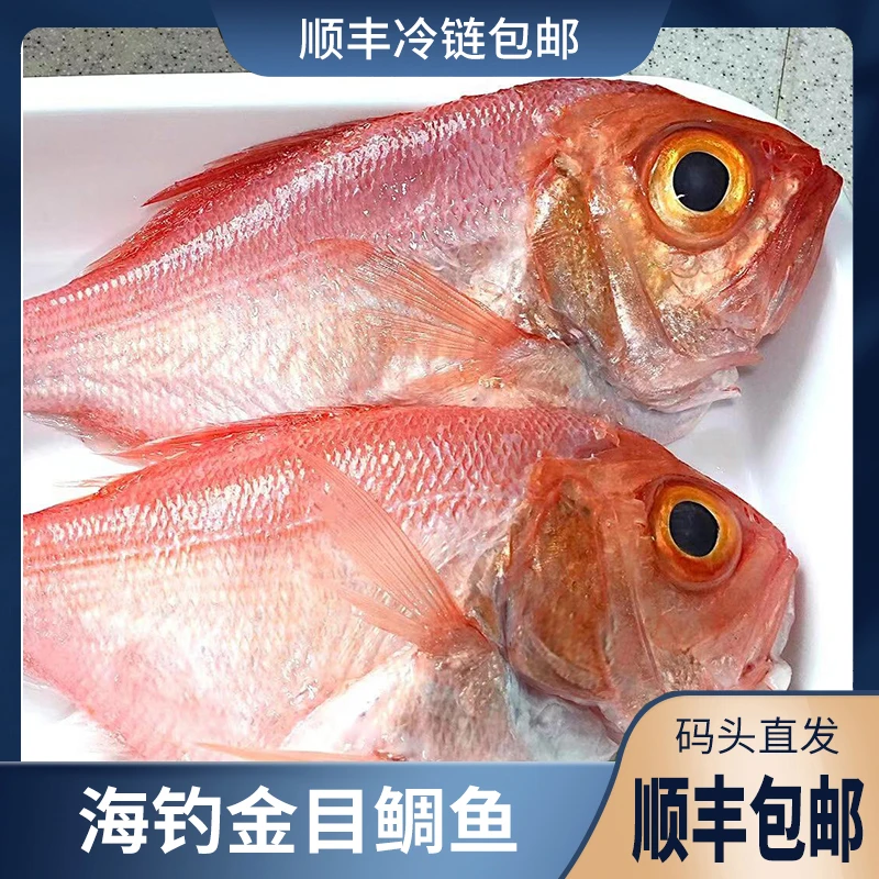 广东博贺港天然野生海钓金目鲷/红刀鱼  顺丰京东冷链