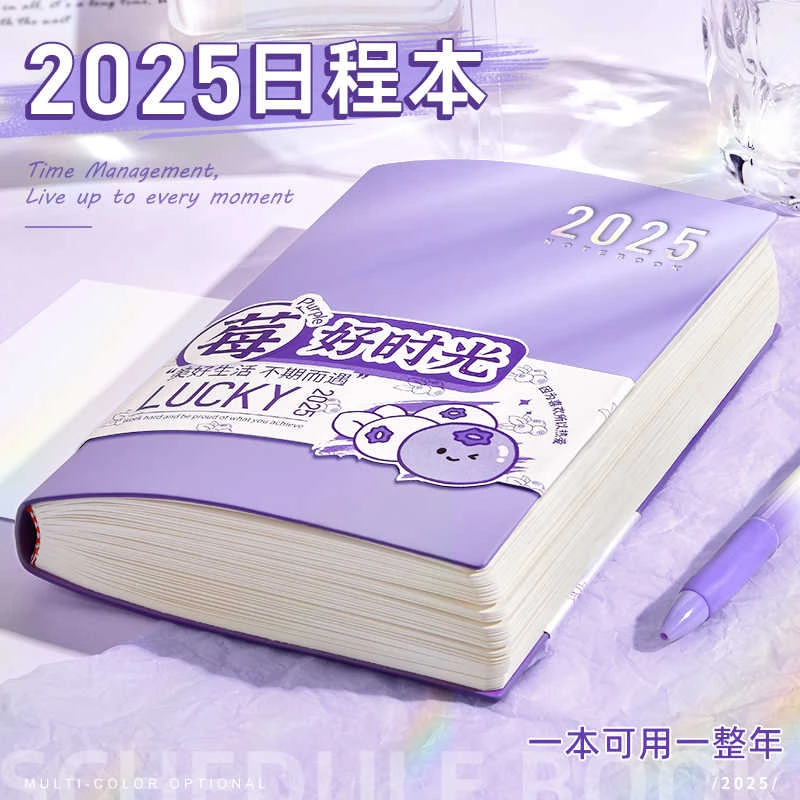 2025年日程本计划表一日一页效率手册每日计划本笔记本子时间管理