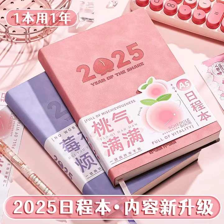 2025年日程本计划本笔记本日历本打卡本时间管理自律记事本子工作