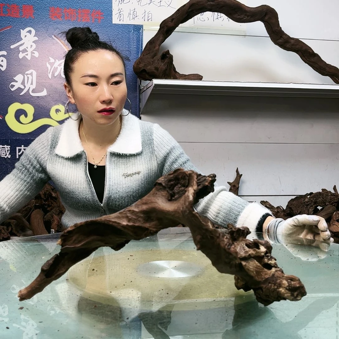 柚木沉木鱼缸造景