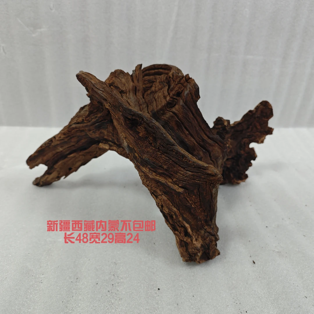 华丽景观沉木鱼缸造景