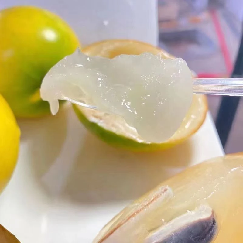 云南西双版纳黄晶果稀有热带水果现摘现发新鲜孕妇水果