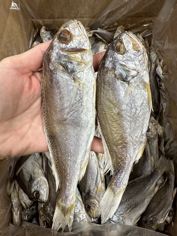 【三妹专线】本地划鱼干 咸鱼干