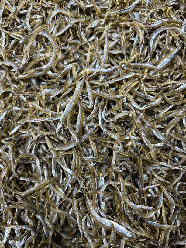 淡干银针鱼干 海针鱼 海鲜干货 肉质结实