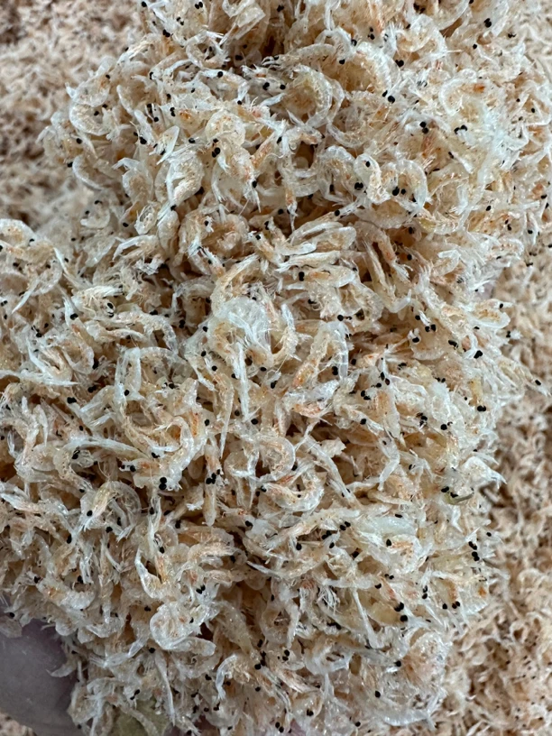 【三妹专线】樱花虾皮带籽
