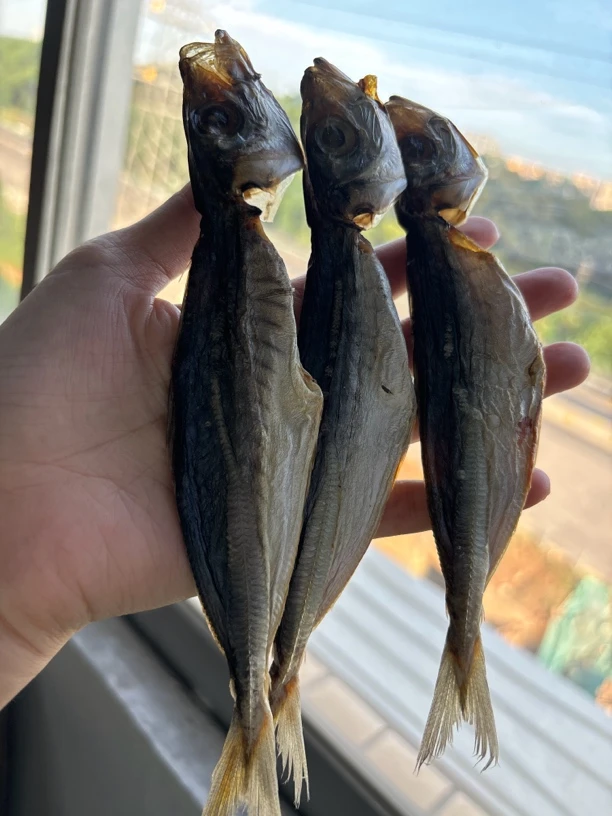 [三妹专线]生晒巴浪鱼池鱼干