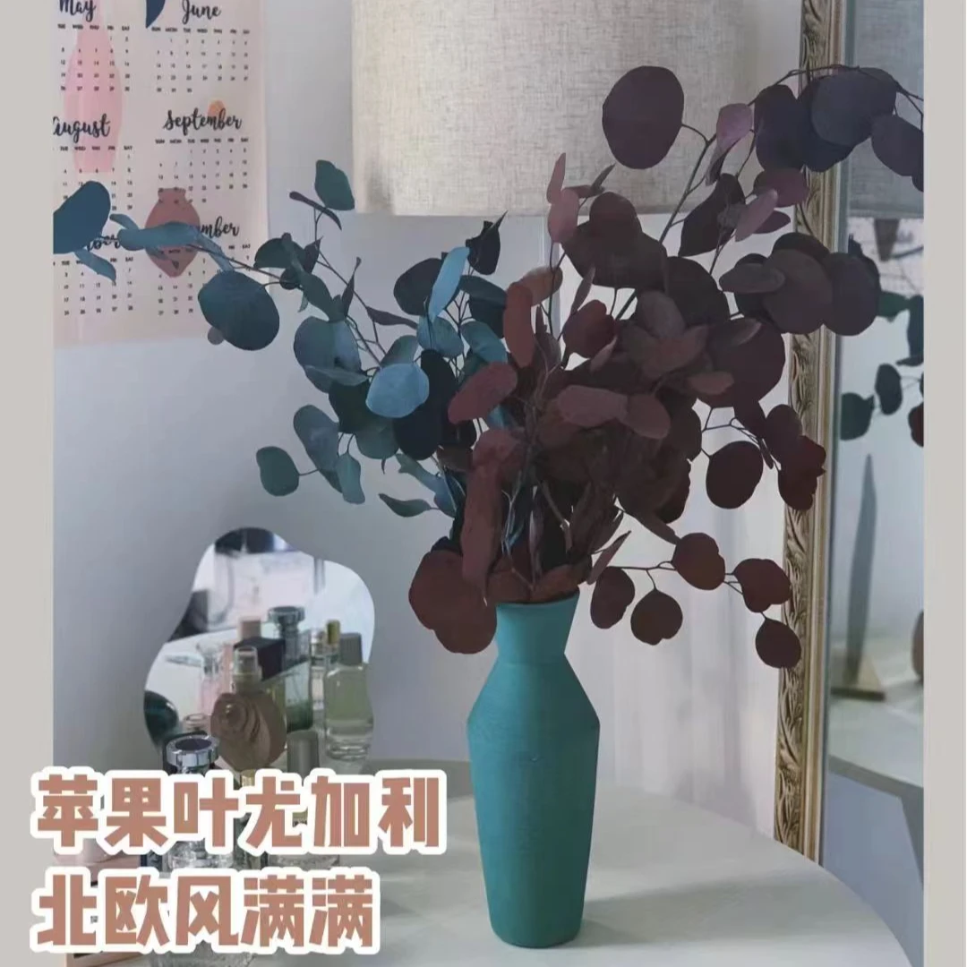（绿色）苹果尤加利叶+（紫色）苹果尤加利叶家居好物