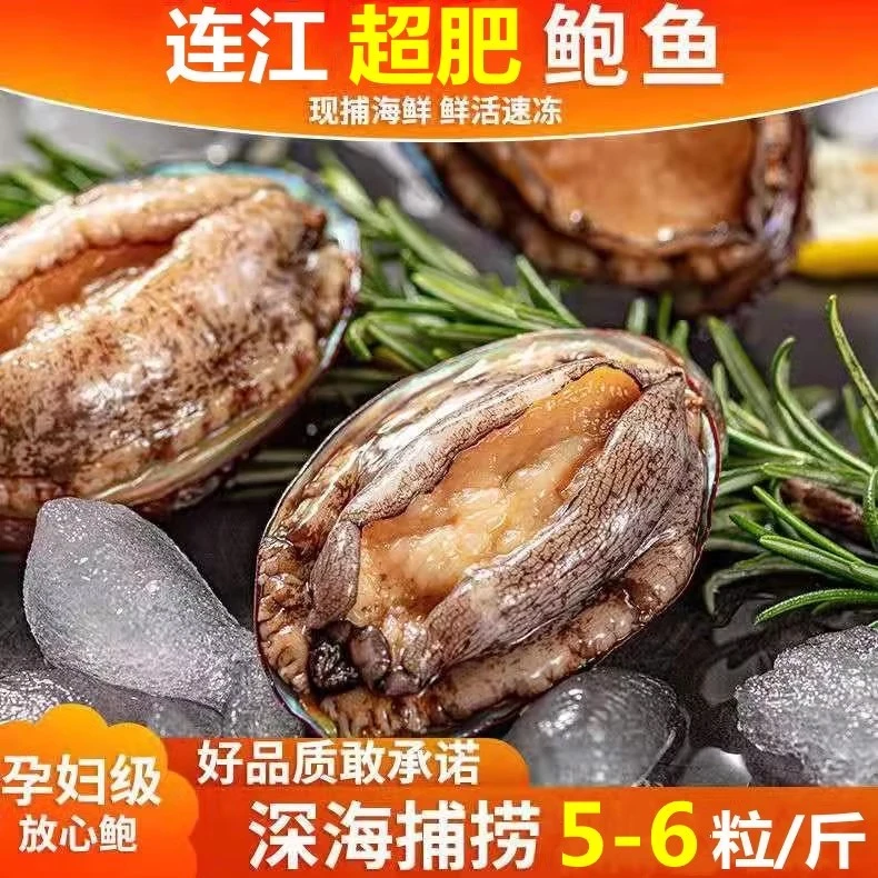 福建连江鲍鱼新鲜鲍鱼海鲜水产九孔鲍鲜活速冻大个鲍鱼6-7粒/斤