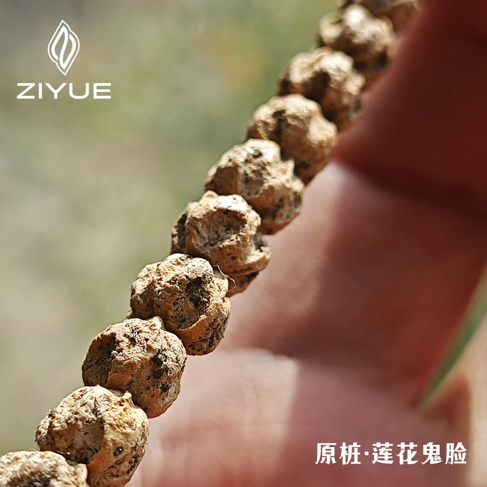 【真原桩·莲花鬼脸】脏脏微沙皮质热振百香籽108颗长串『籽约严选』