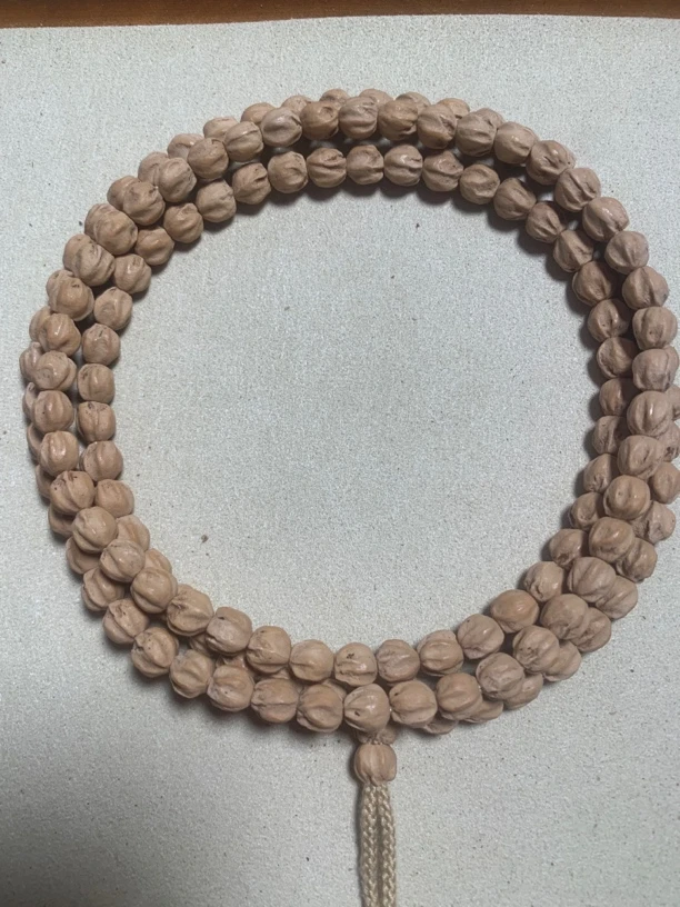 热振狂野原装龙脊柏香籽长串