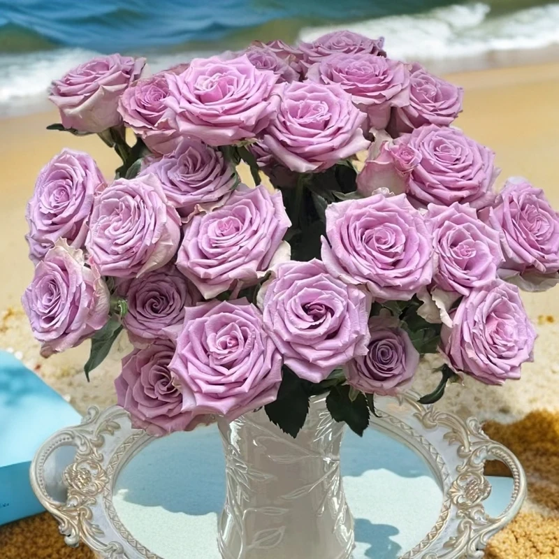 紫霞仙子   单头玫瑰】 全场任意两单鲜花发【顺丰/京东/德邦】