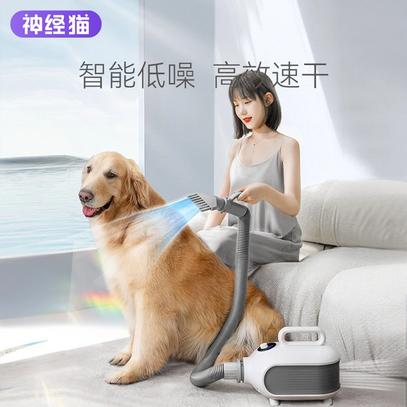 宠物店吹水机大功率吹风机中大型犬金毛边牧宠物店吹毛速干负离子