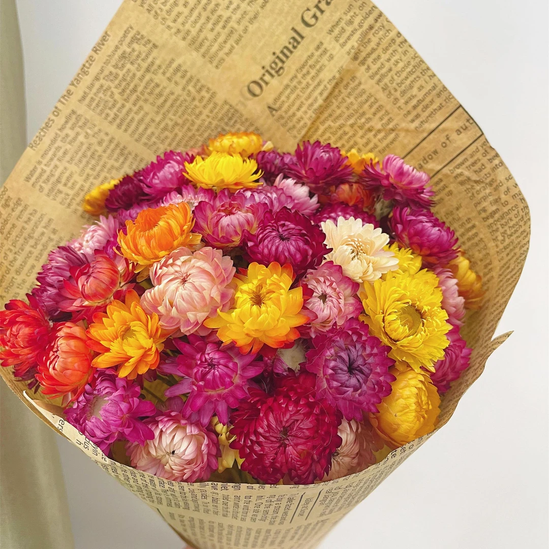 【多彩太阳花】云南昆明直发干花真花花束太阳花