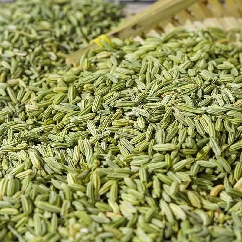 甘肃特产小茴香蚂蝗颗粒香料全国调料卤肉香料地锦草大料