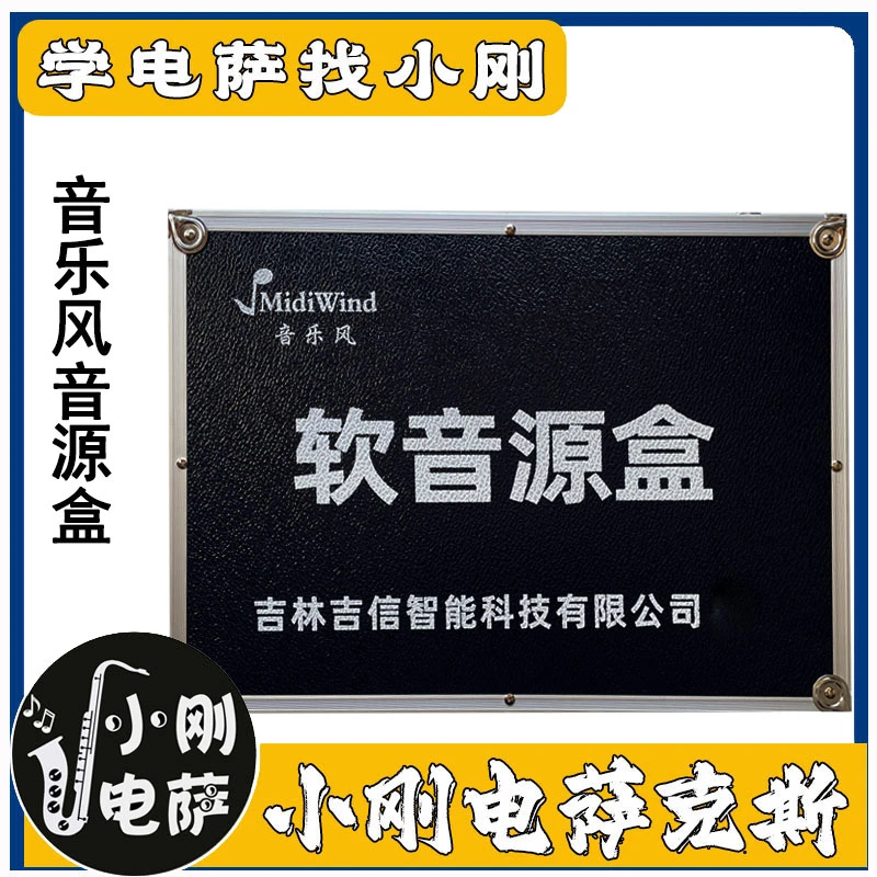 小刚电萨音乐风音源盒全新的音色体验对音色有特殊要求的看过来