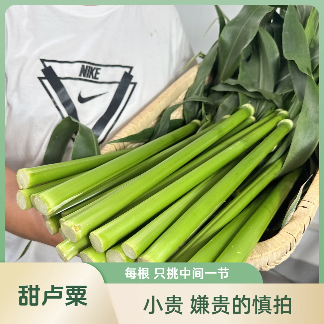 精品贵妇装 只挑选每一根的中间一节的甜芦粟 崇明芦穄 甜杆 顺丰