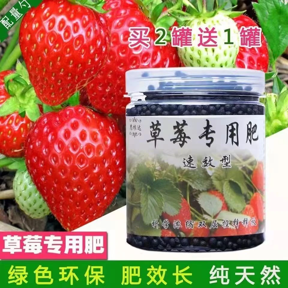 草莓苗专用肥有机无害颗粒促花膨果生叶抗病增产生根壮苗高耐用肥